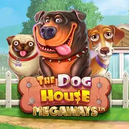 The Dog House Megaways game at Syndicate Casino for Australia players