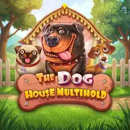 The Dog House Multihold game at Syndicate Casino for Australia players